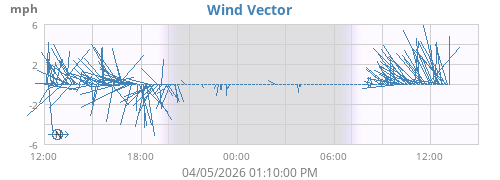 Wind Vector