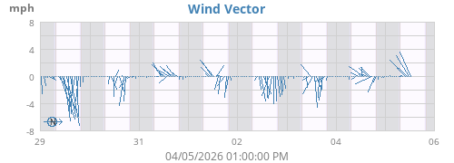 Wind Vector